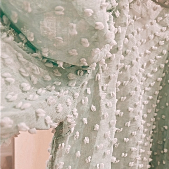 Zara sheer top - Picture 3 of 5